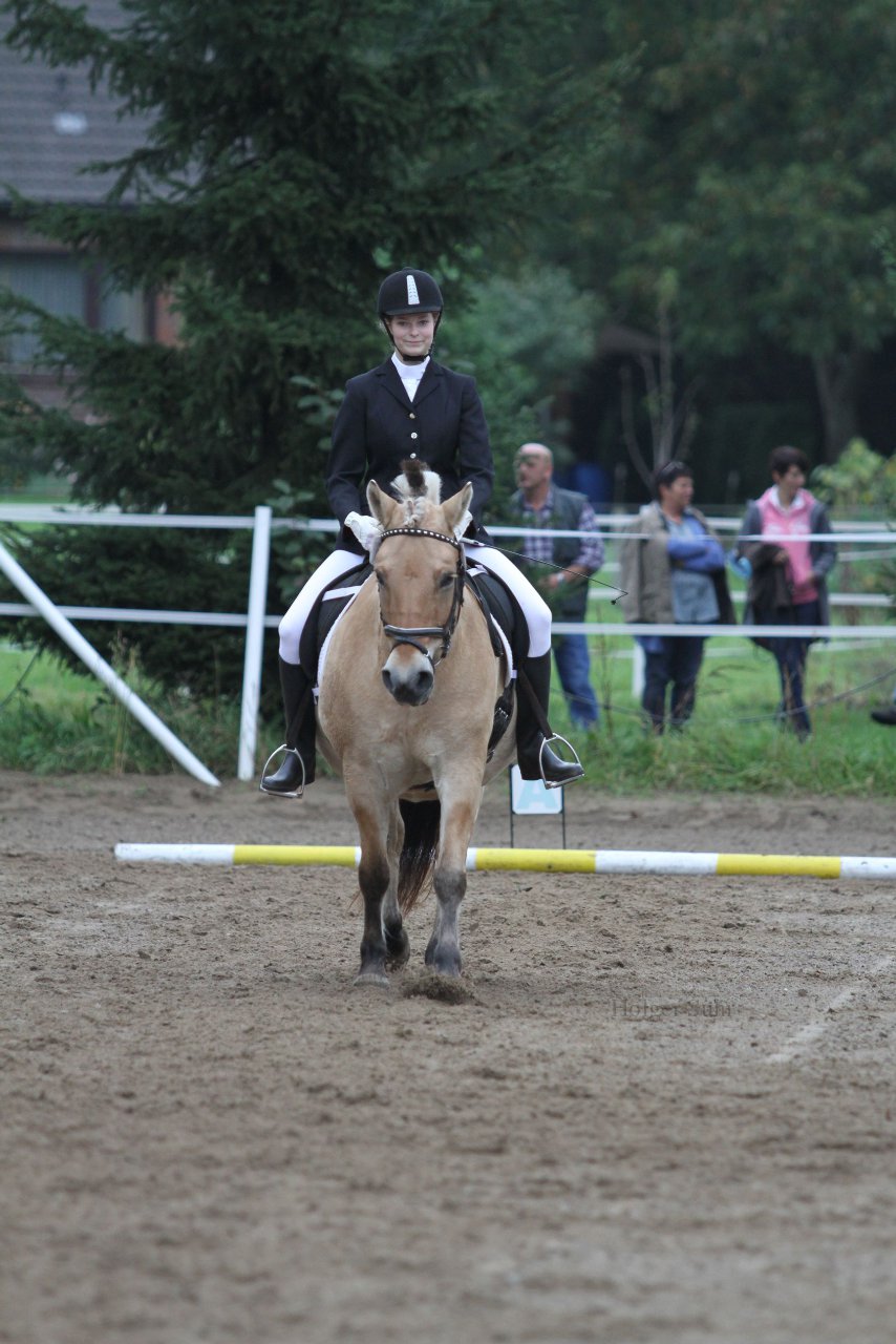 Bild 393 - WBO-Turnier am 18.9.11